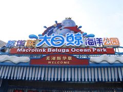 -芜湖新华联大白鲸海洋公园