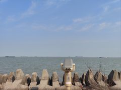 -上海滨江森林公园