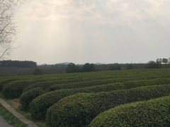 -凤凰沟景区