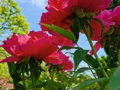 -狼山风景名胜区