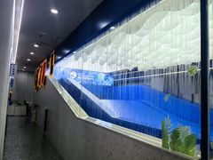 -蓝鲸国际少儿游泳训练中心(群力店)