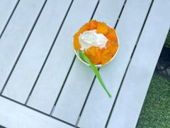 -Salud撒露欧洲冻酸奶(蓝色港湾店)