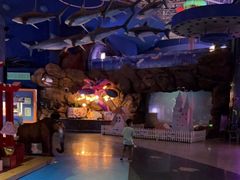 -烟台海昌鲸鲨海洋公园