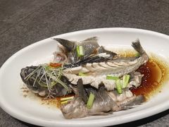 -浩运·海鲜青岛菜·海胆水饺(石老人店)