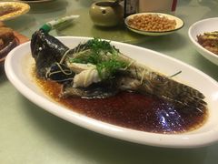 清蒸龙胆斑-鑫悦楼煎蟹·16年海鲜大排档