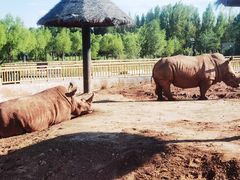 -鄂尔多斯野生动物园