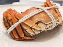 -新光酒家·河豚·海鲜·蟹料理(浦东店)