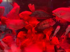 -三旗百汇商品城