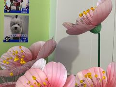 -鹏欣水游城