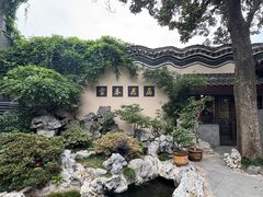-富春茶社(国庆路店)