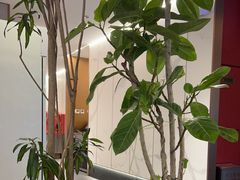 -旺顺阁·北京菜(大望路店)