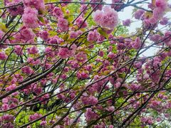 -不觉晓CAMPING(上海迪士尼营地店)