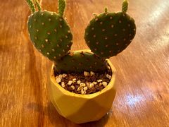 -Mesa Madre梅萨妈妈·Bintana(国贸店)