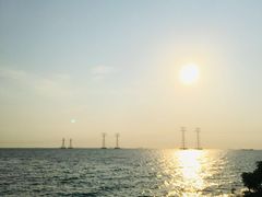 -宝安西湾红树林湿地公园