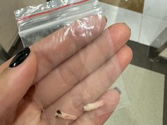 -雅悦齿科(顾村公园店)