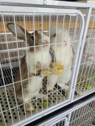 -小蜜蜂农场(凯德七宝购物广场店)