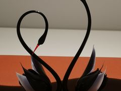 -BLACKSWAN黑天鹅(环球店)