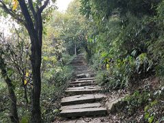 -杭州半山国家森林公园