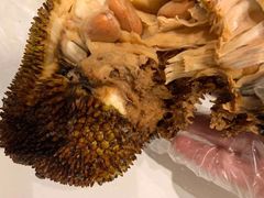 -鸿港海鲜批发市场