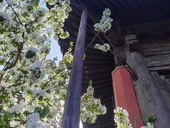 -大觉寺-停车场