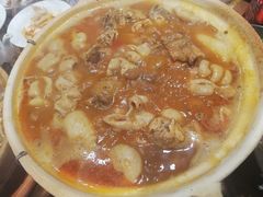 花椒肥肠鸡煲-十六蒲(桂林路店)