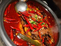 -探鱼·鲜青椒爽麻烤鱼(苏宁广场店)