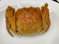 螃蟹-香山湖渔家大院