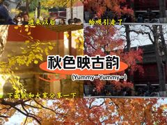 -回龙观体育文化公园