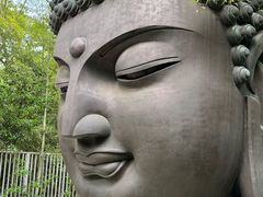 -杭州植物园