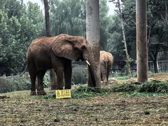 -石家庄市动物园