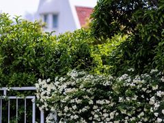 -玄武湖景区-情侣园游乐场