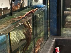 -官也街澳门火锅(新源里店)