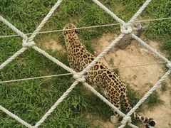 -西霞口神雕山野生动物世界