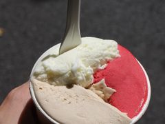 -Dip in Gelato(富民路店)