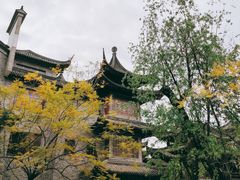 -龙潭水乡