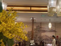 -江南·JIANGNAN(北京歌华开元大酒店)