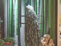 -雀舞云南菜(天津天河城购物中心店)