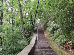 -陕西省红河谷森林公园