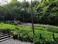 -杭州少年儿童公园
