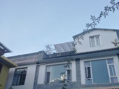 -喵屿·大理花园猫咖