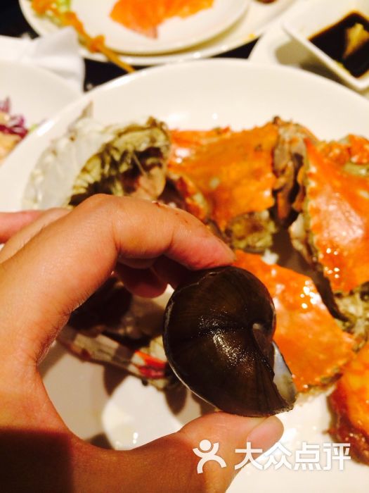 杭州西溪宾馆松露西餐厅-图片-杭州美食-大众点评网