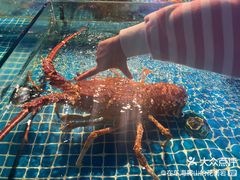 -驻海渔市(置信店)