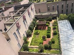 -上海交通大学医学院附属仁济医院(南院)