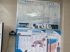 -菲尔斯特宠物医院