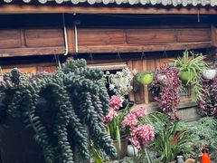 -龙姐私房菜(和顺古镇店)