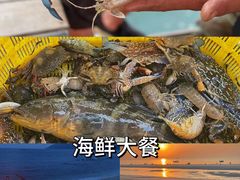 -巽寮湾