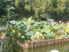 -八大处公园