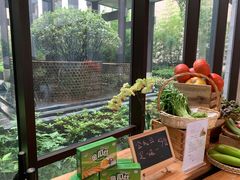 -上海崇明金茂凯悦酒店