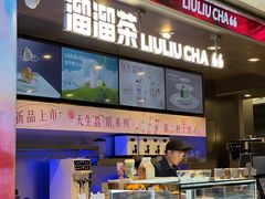 -TD66高山铁皮石斛养生茶饮