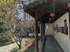-上海醉白池公园